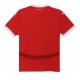 Austria Tricou Fotbal Replică European 2024 Barbati Acasa